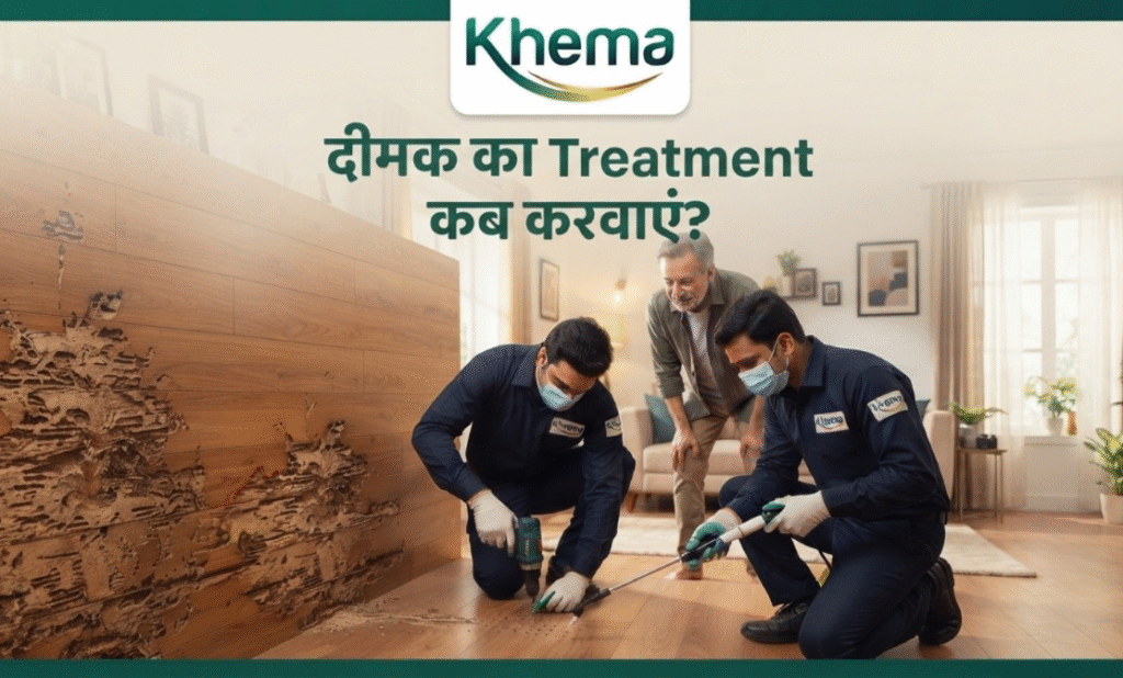 दीमक का Treatment कब करवाएं? दीमक